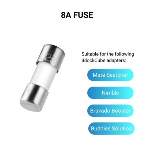 Fuses 5PCS 8A Diameter 3.6 * Length10MM